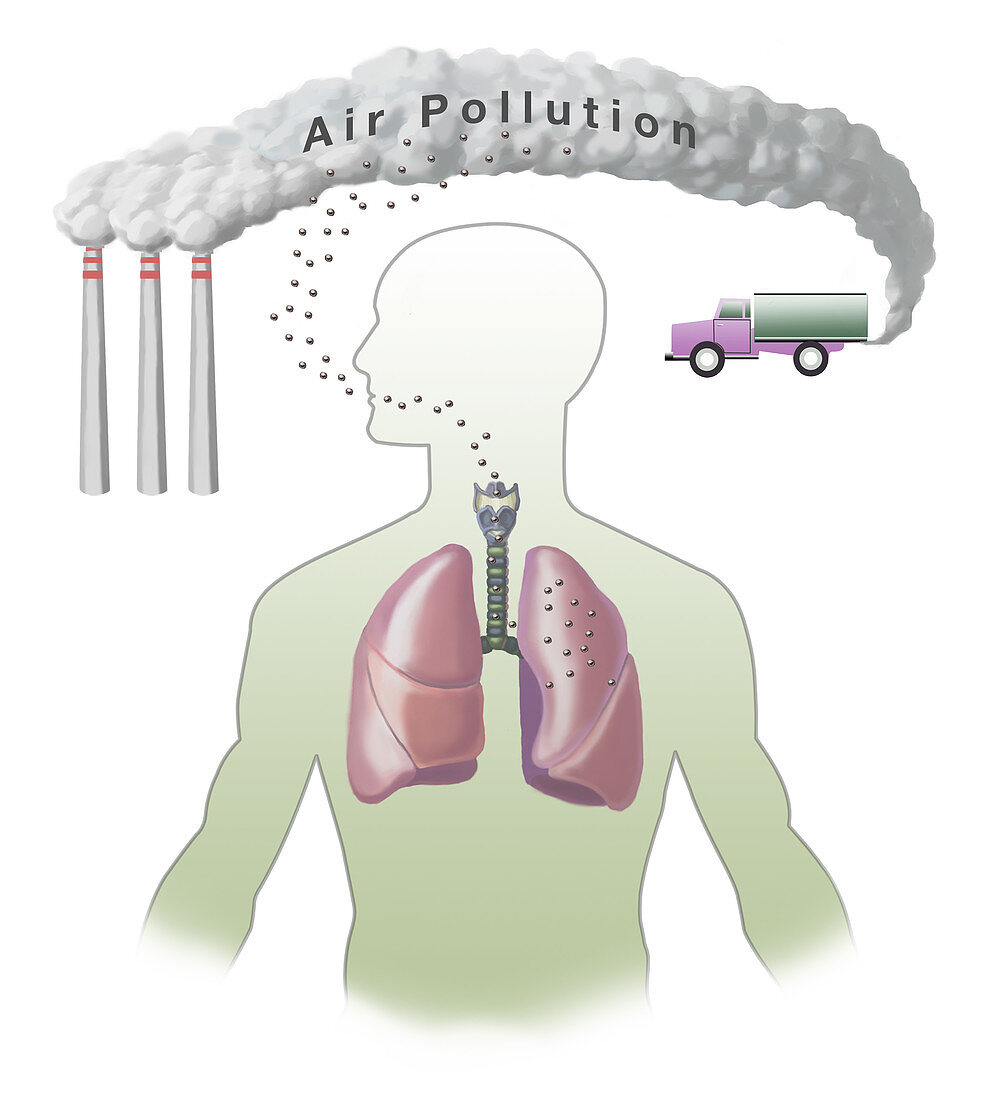 Air Pollution and Lungs,illustration