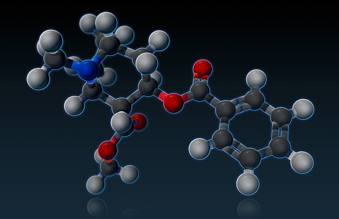 Cocaine Molecular Model,illustration