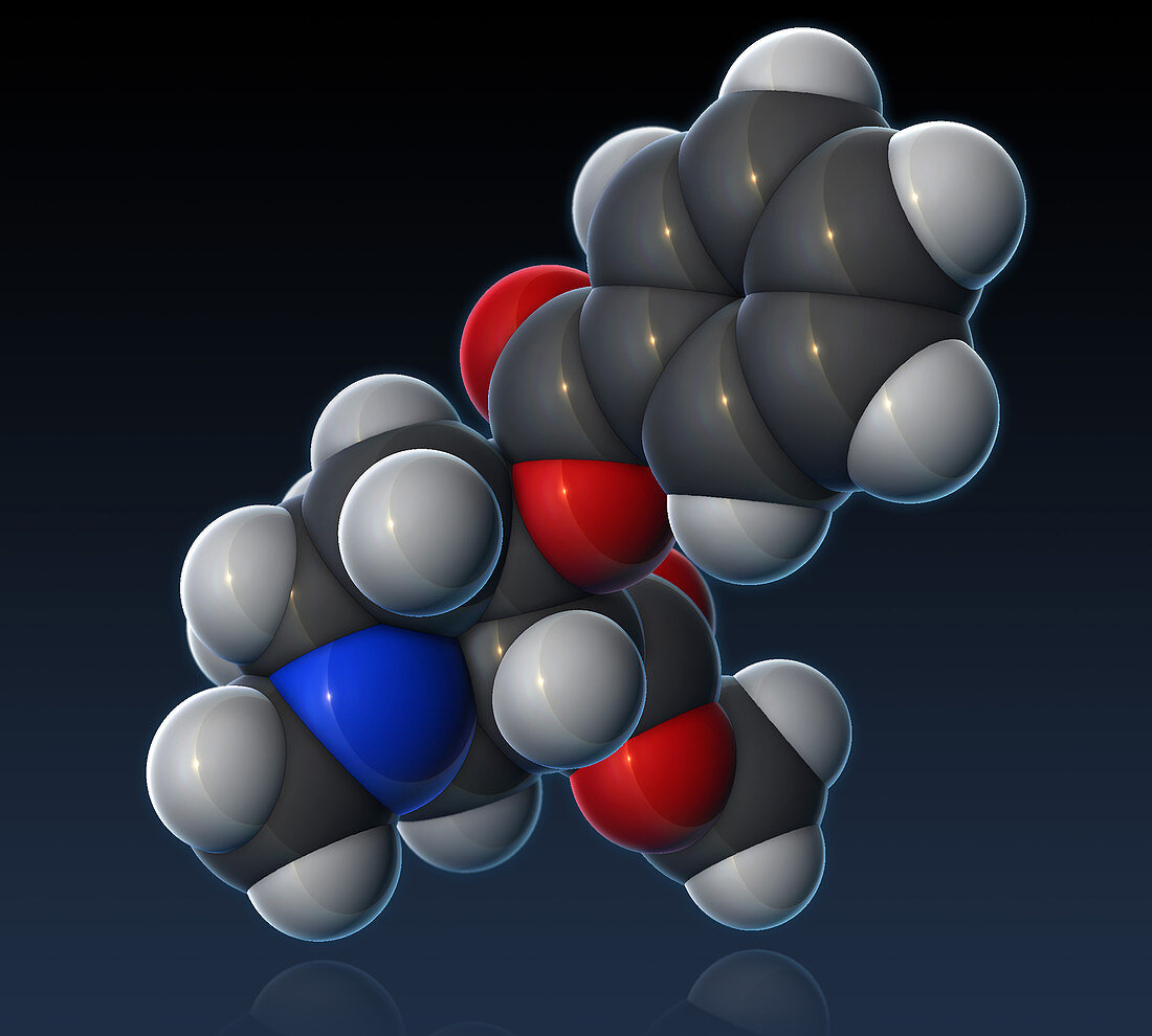 Cocaine Molecular Model,illustration
