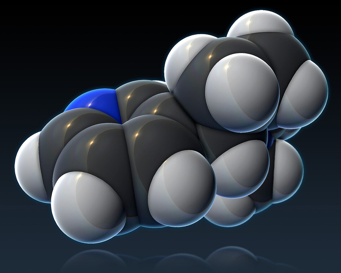 Nicotine Molecular Model,illustration
