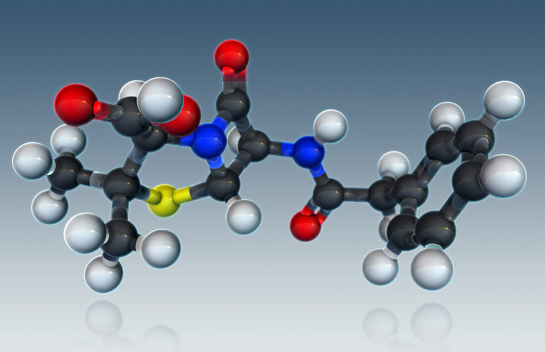 Penicillin Molecule,illustration