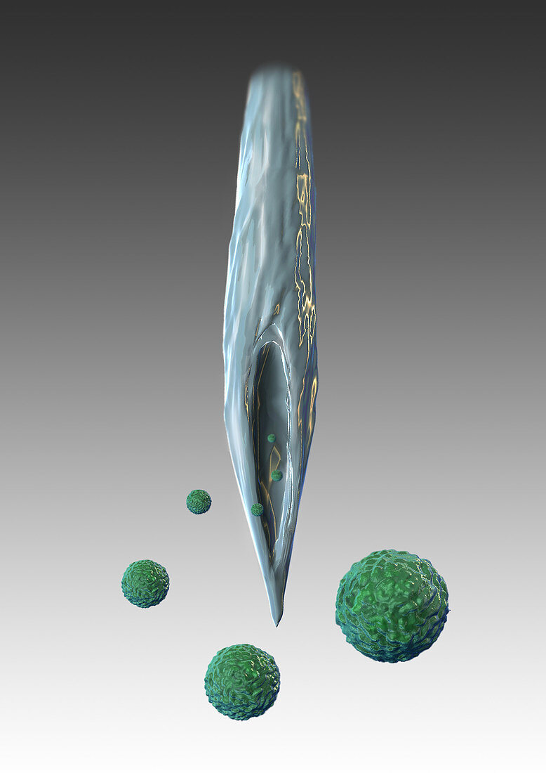 Stem Cells with Needle,Illustration