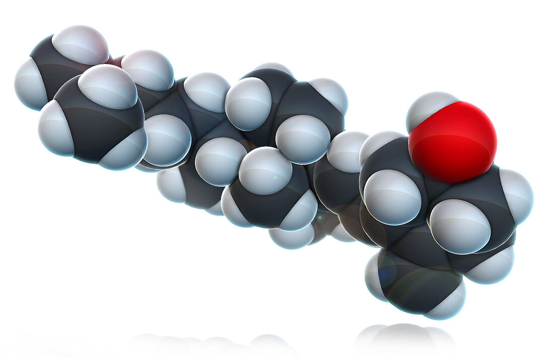 Vitamin D3,Molecular Model,illustration