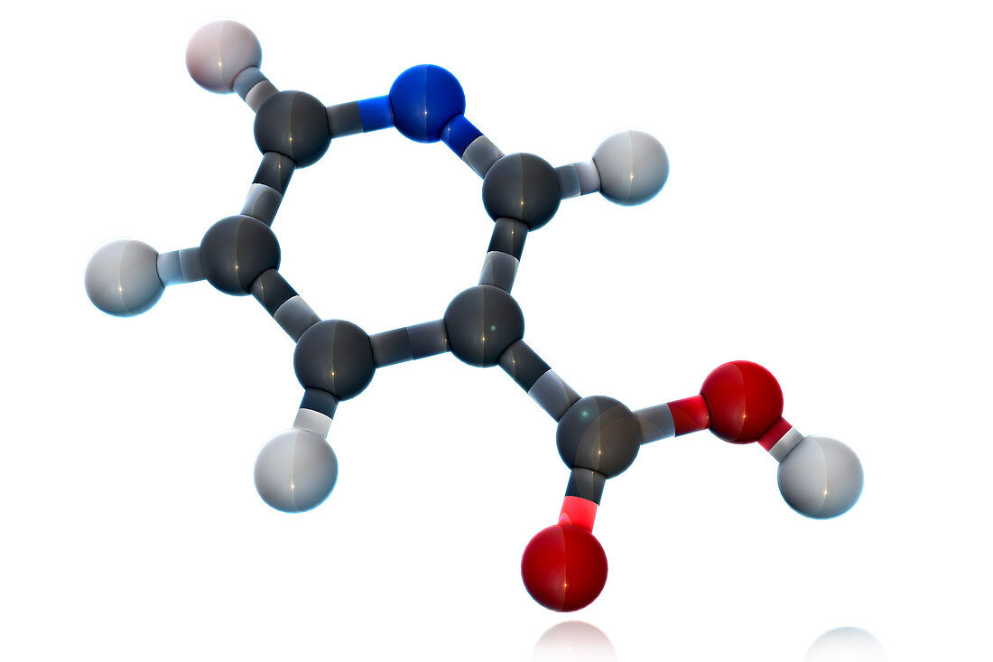 Vitamin B3,Molecular Model,illustration
