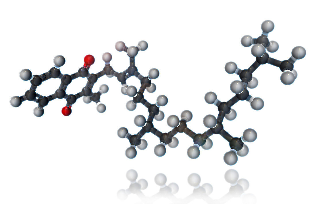 Vitamin K1,Molecular Model,illustration