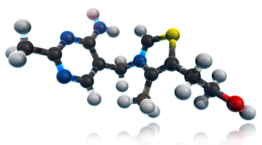 Vitamin B1,Molecular Model,illustration