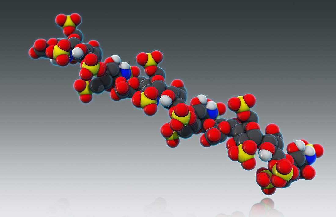 Heparin,Molecular Model,illustration