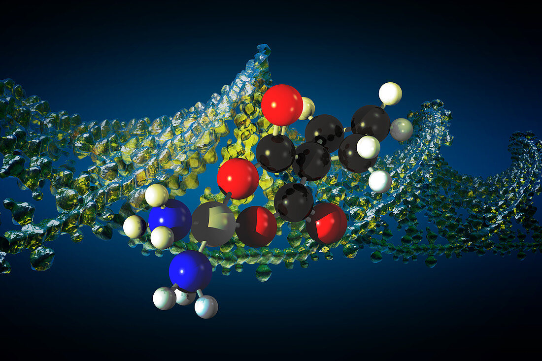 Carboplatin Molecular Model,illustration