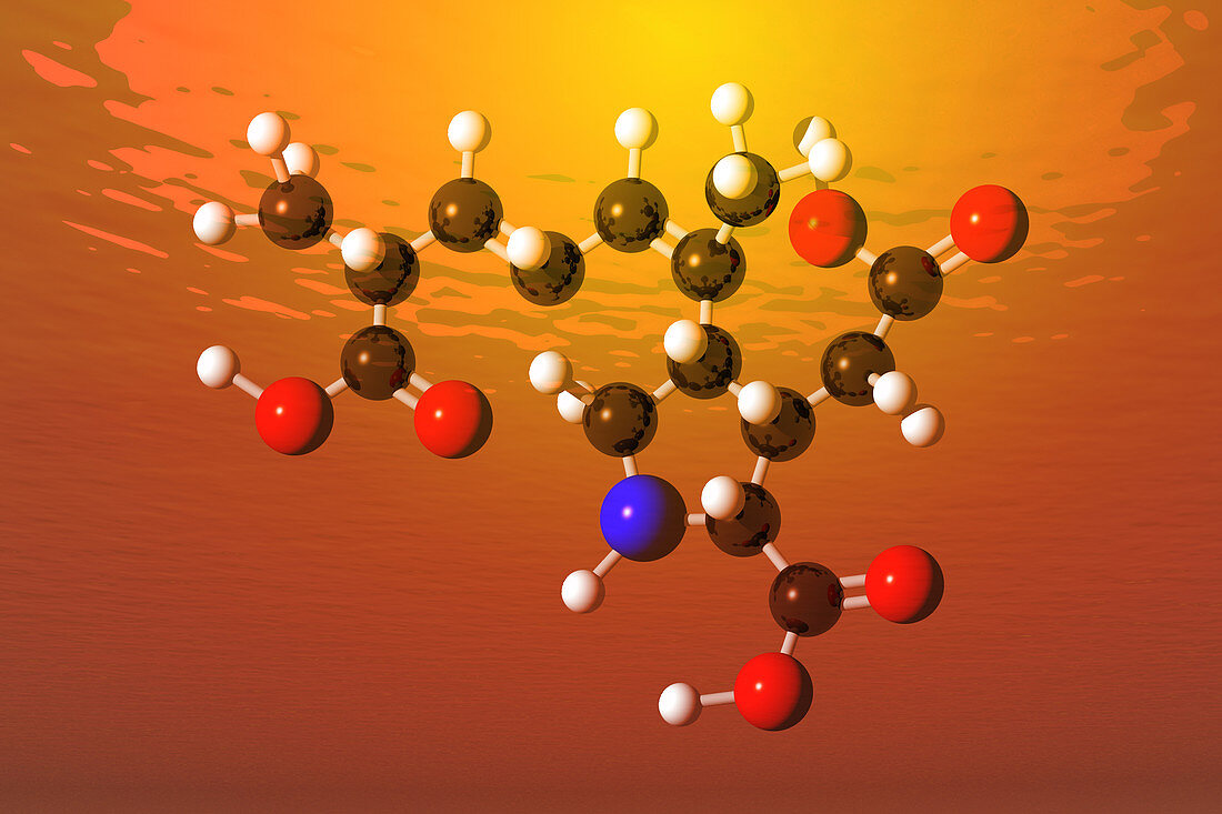 Domoic Acid Molecular Model,illustration