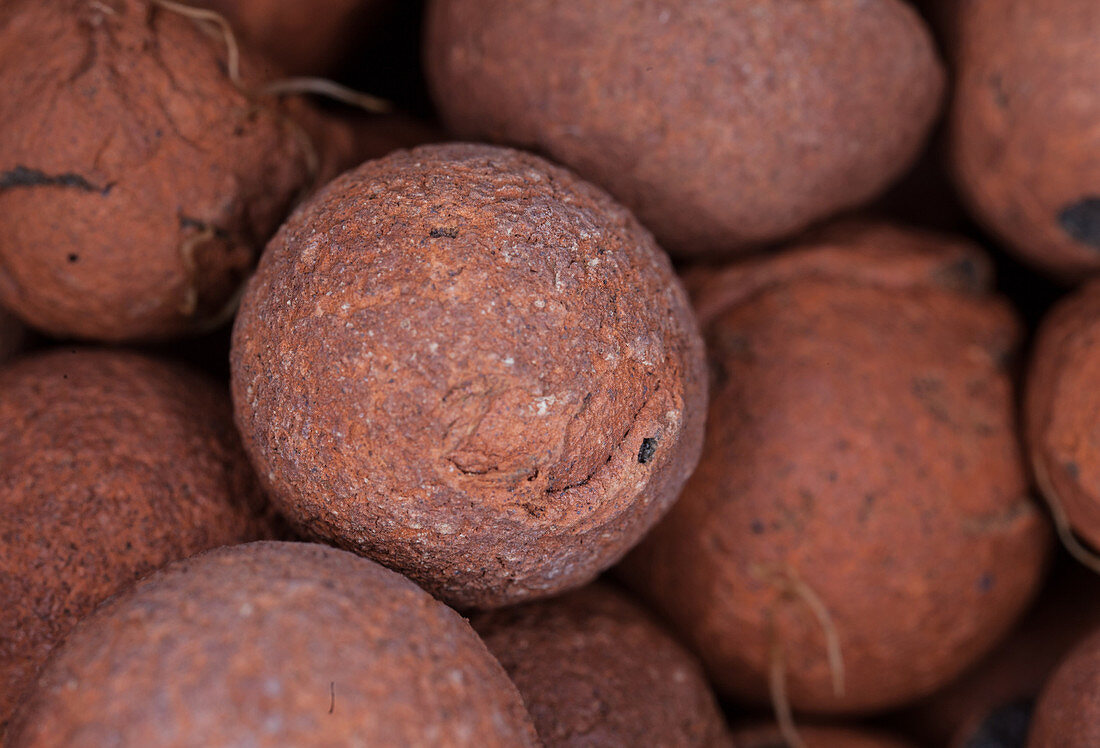 Clay Pebbles for Hydroponic Gardening