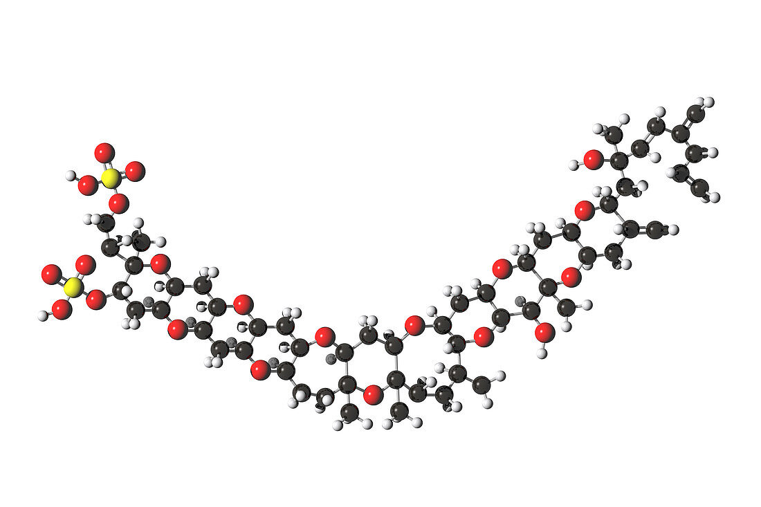 Yessotoxin,molecular model,illustration