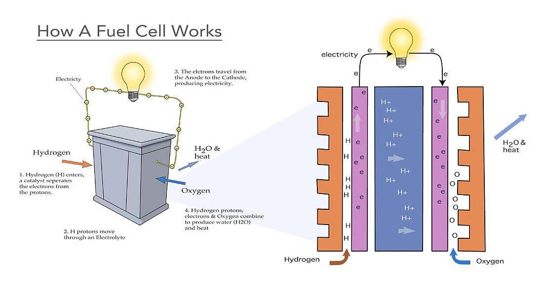 Fuel Cell,illustration