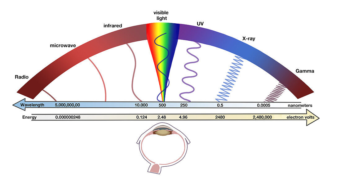 Electromagnetic Spectrum,illustration