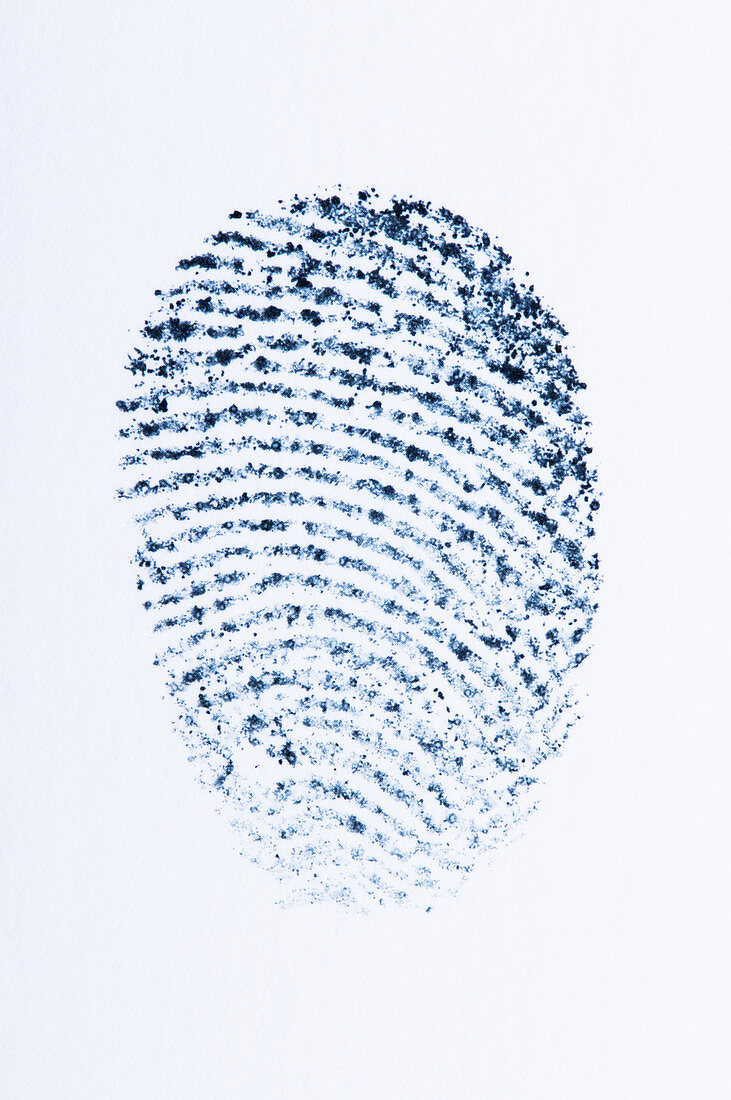Fingerprint,illustration