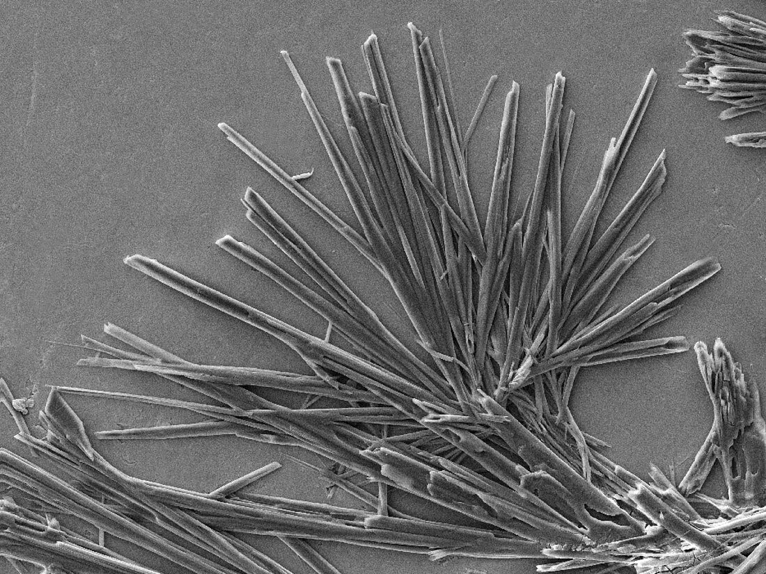 Caffeine Crystals,SEM