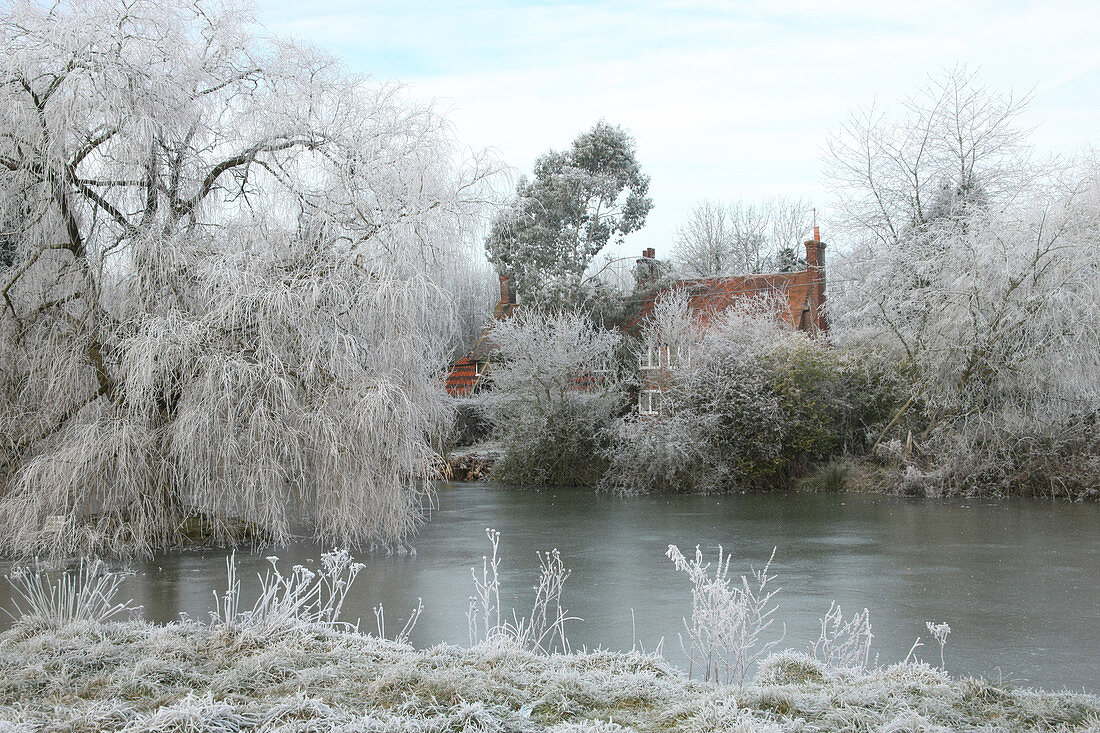 Winter scene in Surrey,England