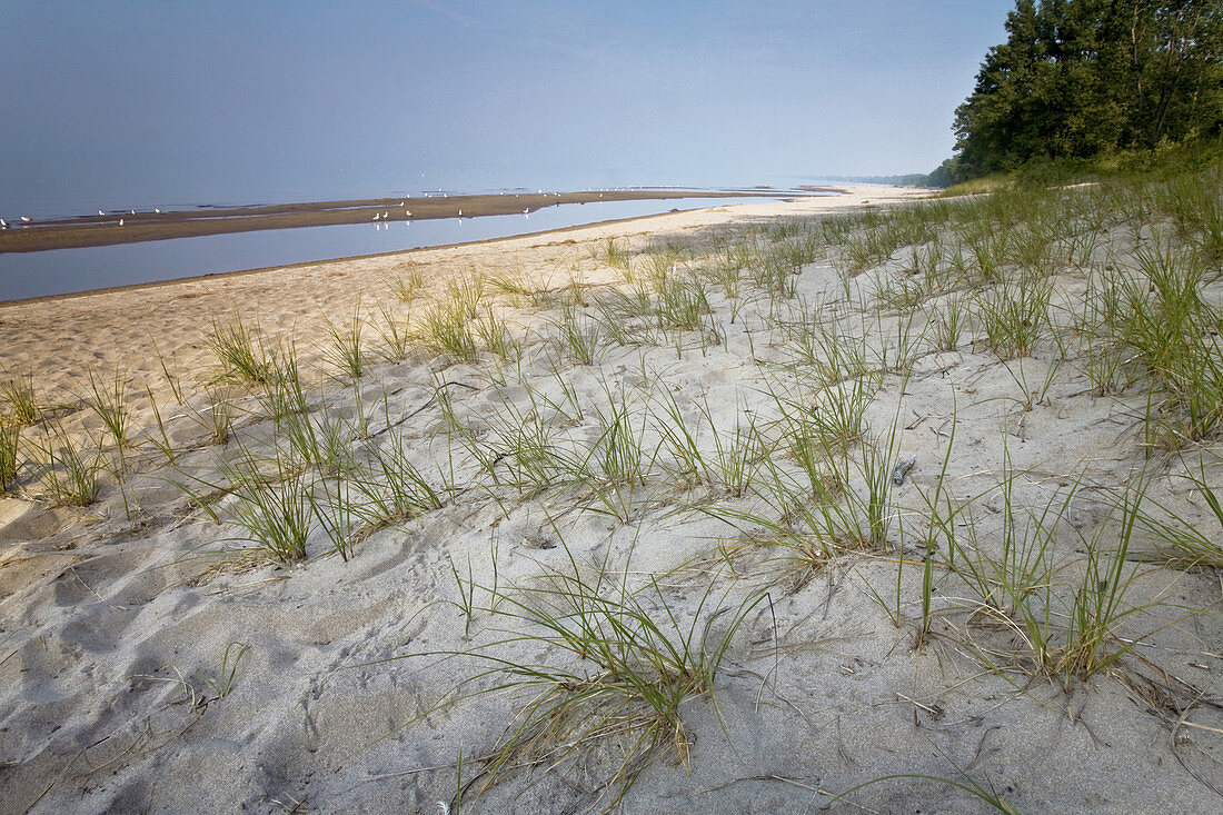 Lake Erie Sand Dunes