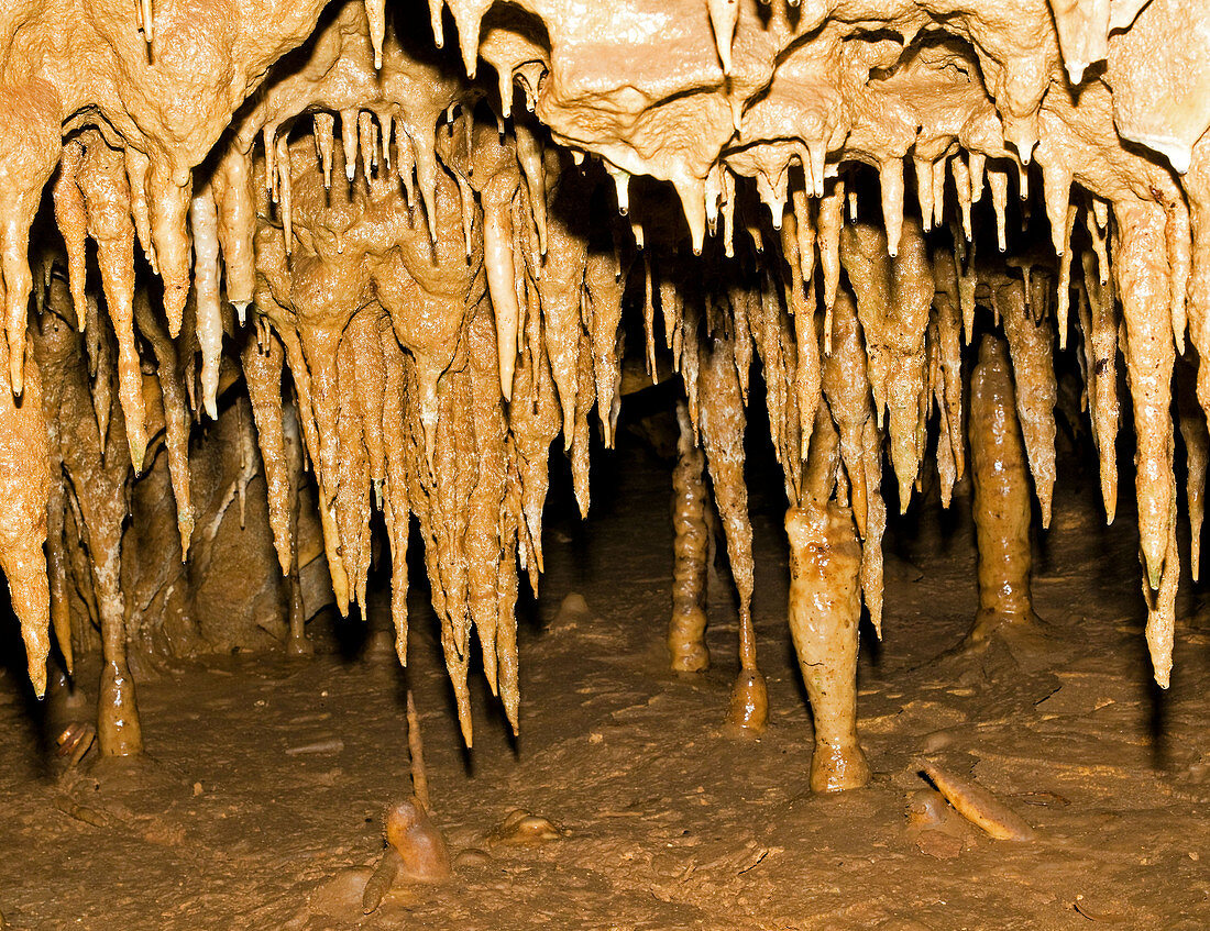 Stalactites Formation in Florida