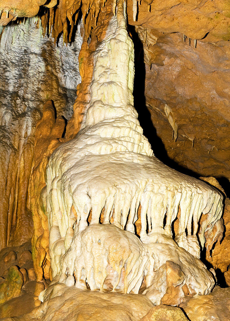 Limestone Column Formation in Florida