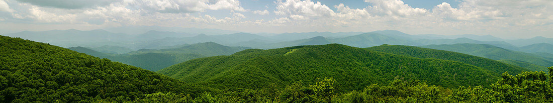 Appalachian Panorama