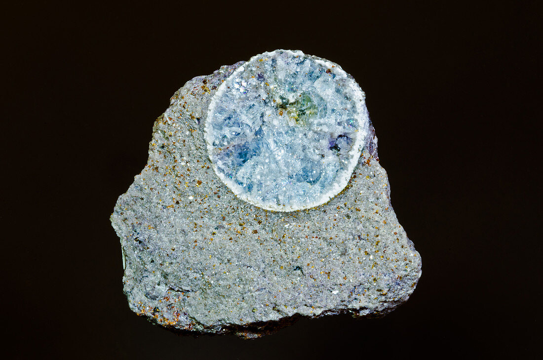 Coral Fossil Replaced with Minerals