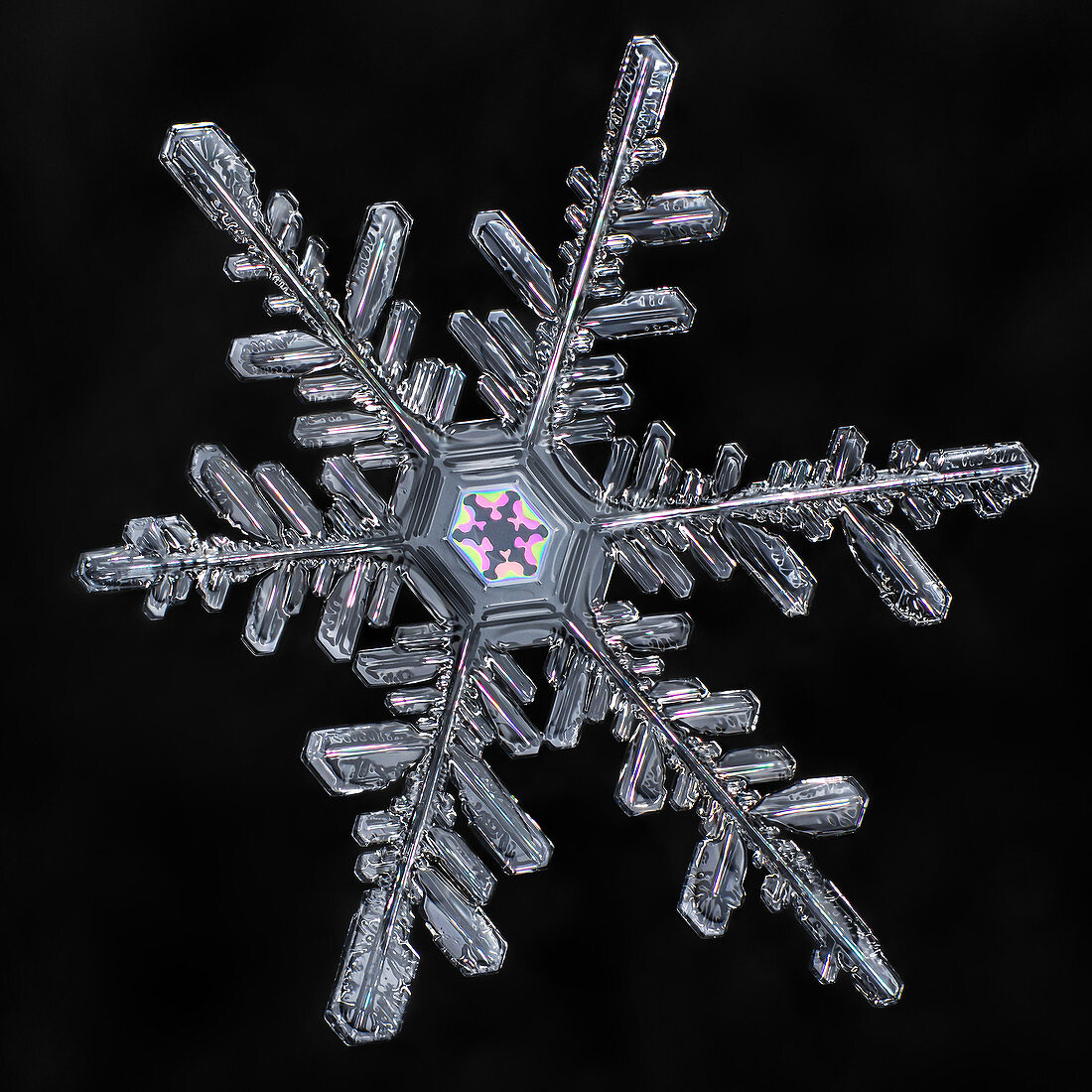 Dendrite Snowflake