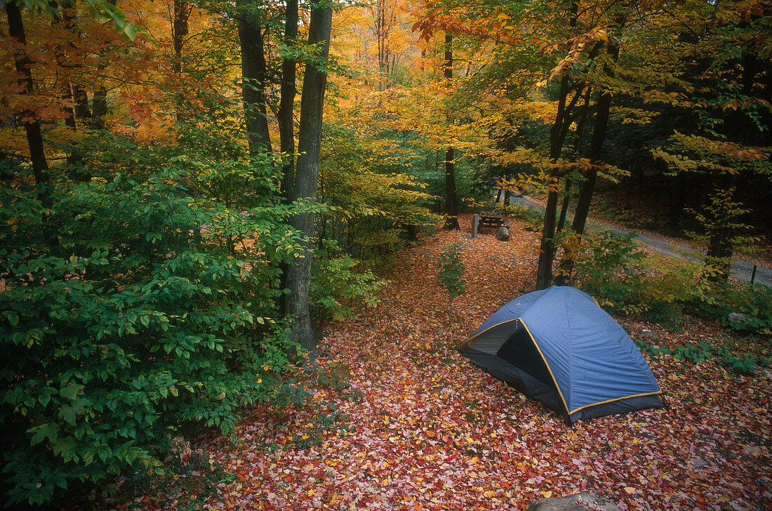 Camping in the Fall