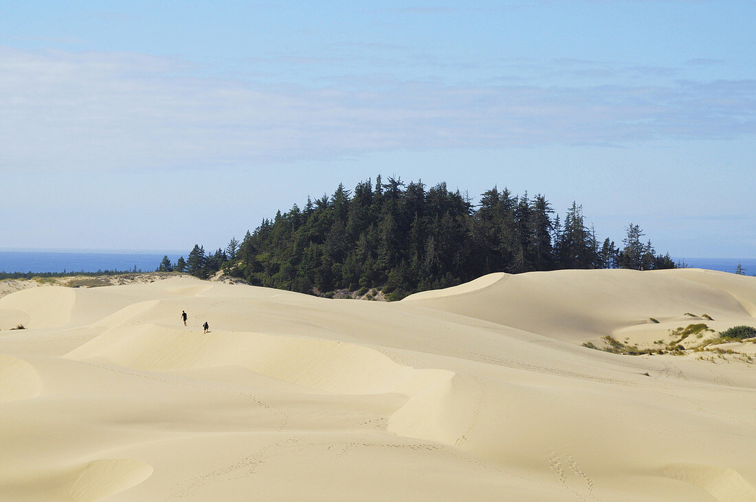 Hikers on Dunes