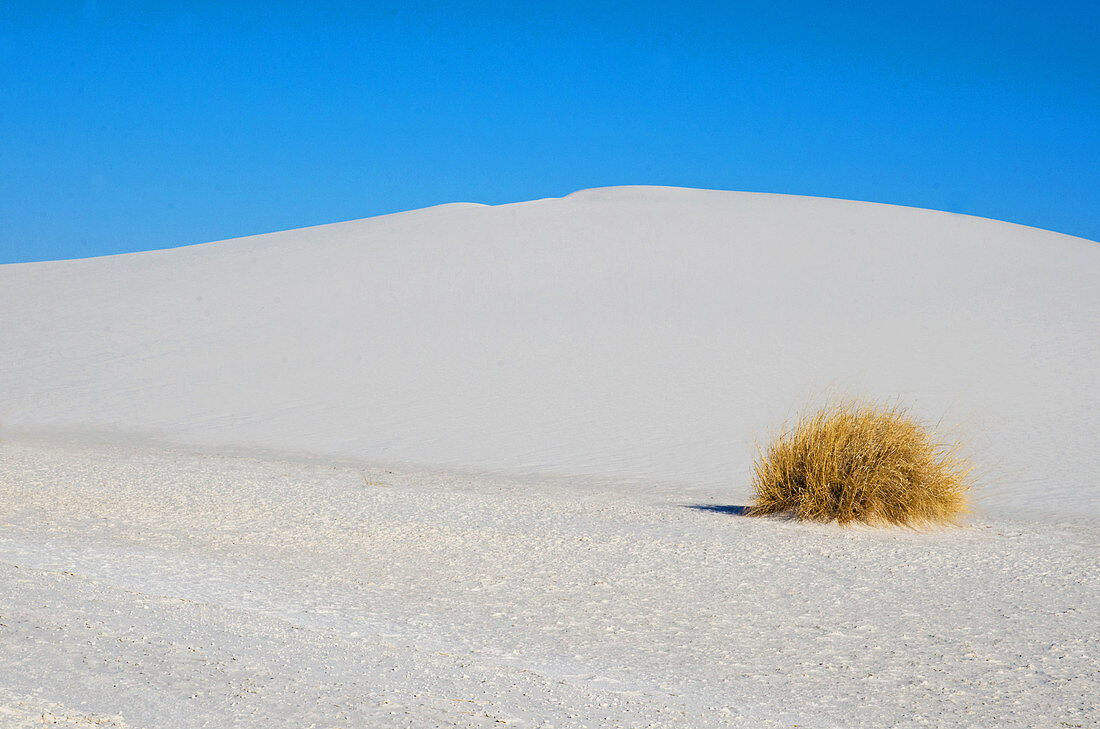 White Sands National Monument,NM