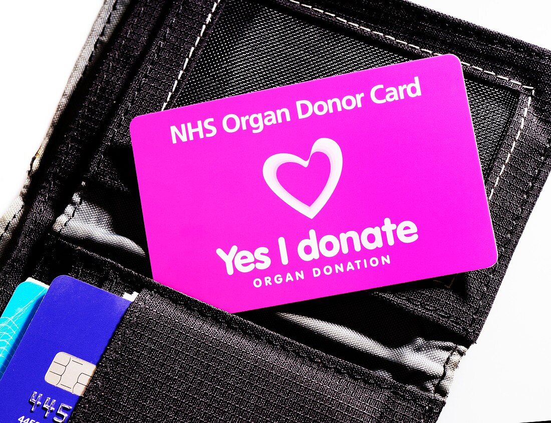 Organ donor card in a wallet