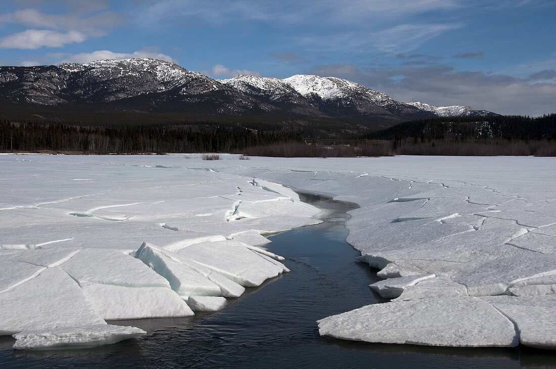 Yukon River