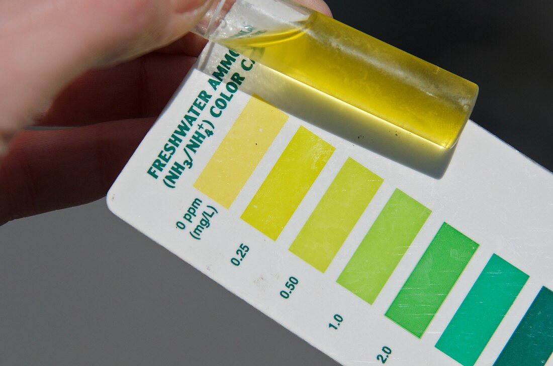 Water Sample with Ammonia Color Chart