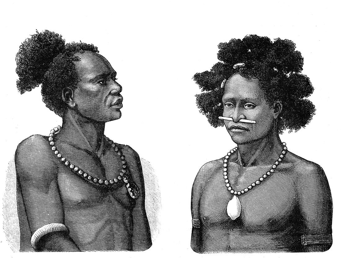 19th Century Papuan people,illustration