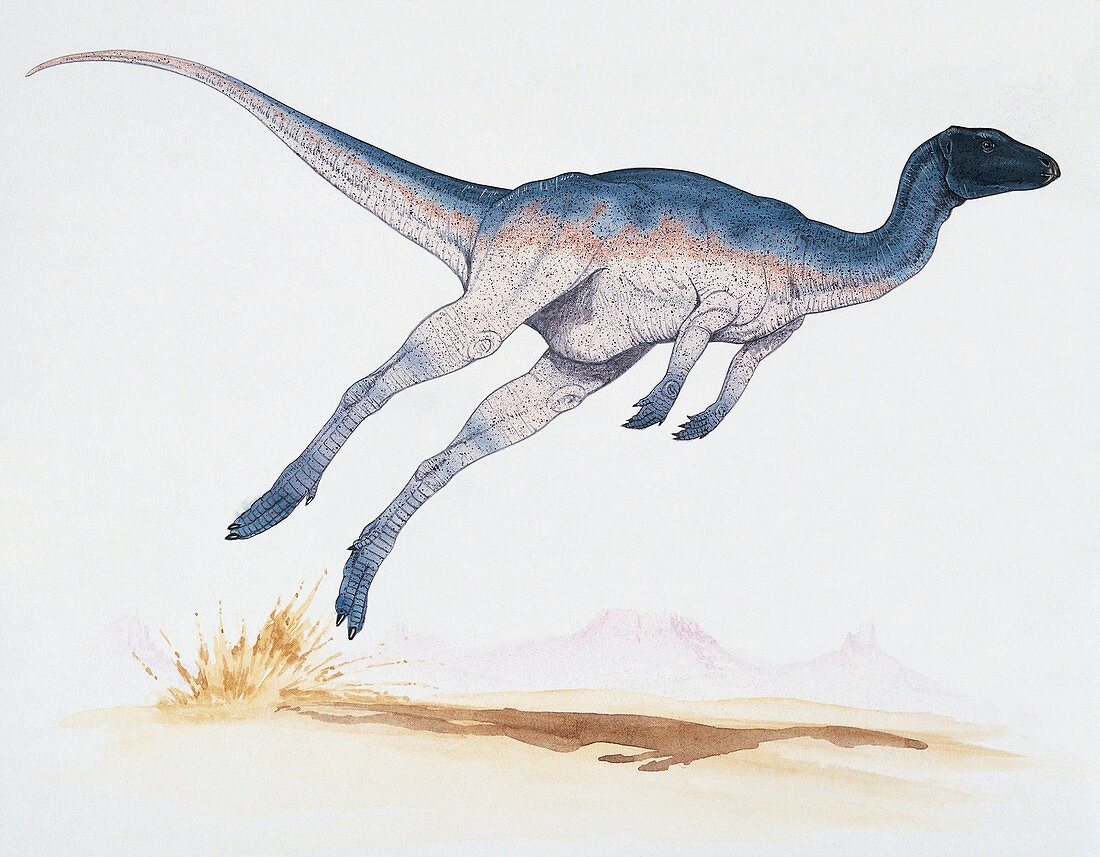 Dinosaur jumping,illustration