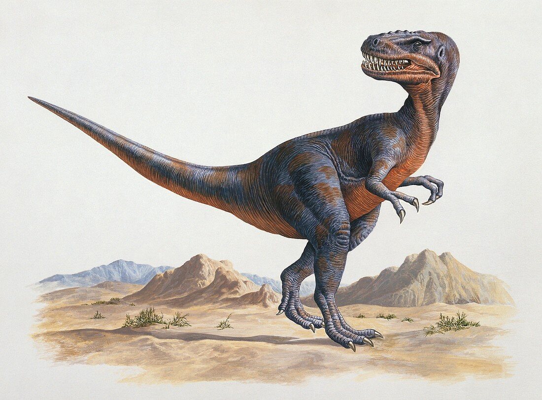 Alectrosaurus dinosaur,illustration