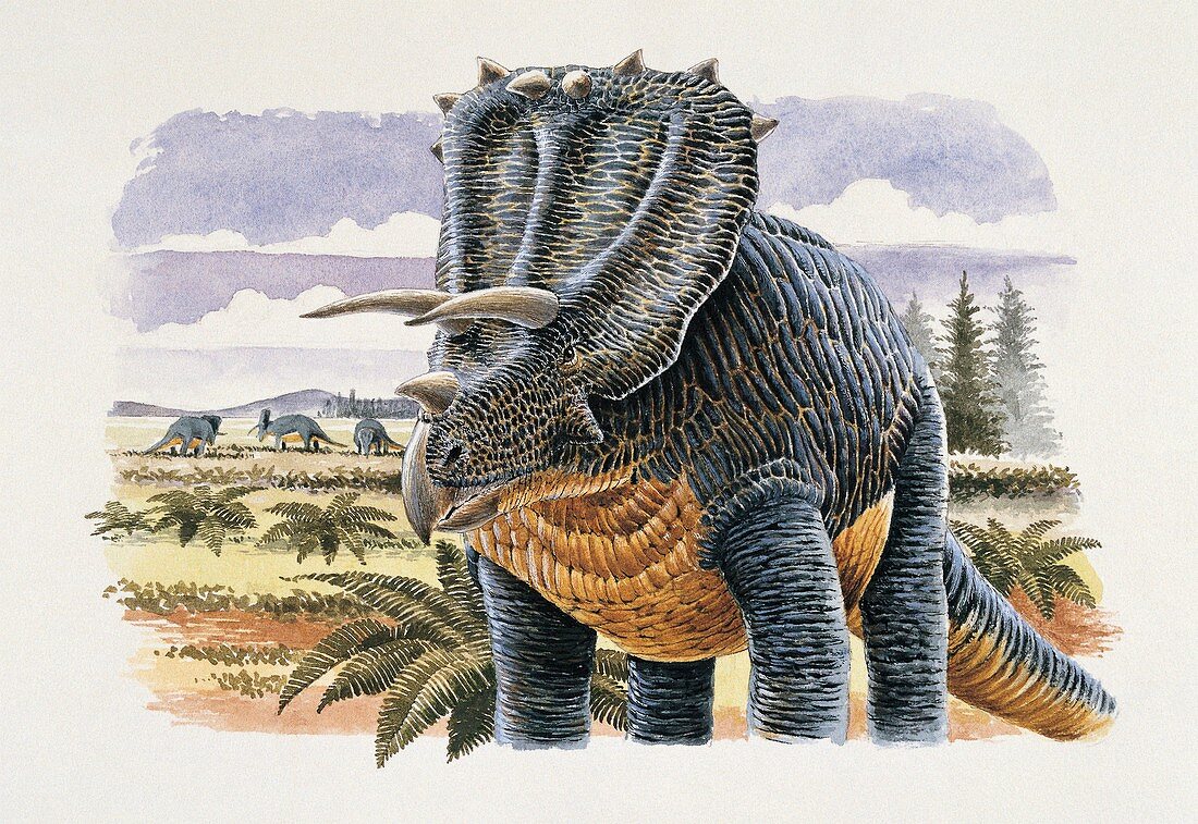 Four dinosaurs in landscape,illustration