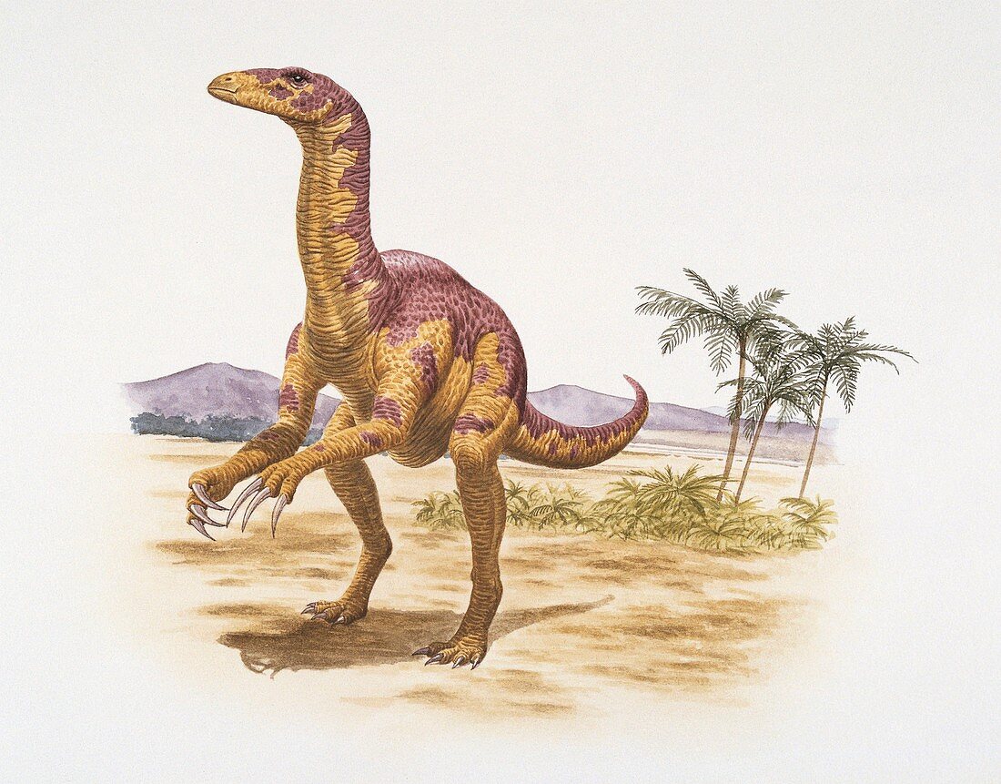 Nanshiungosaurus dinosaur,illustration