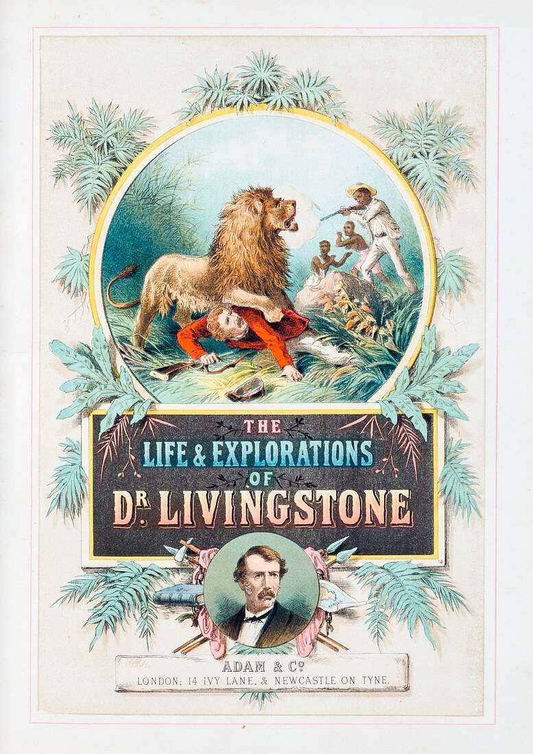 Book about David Livingstone,1870s