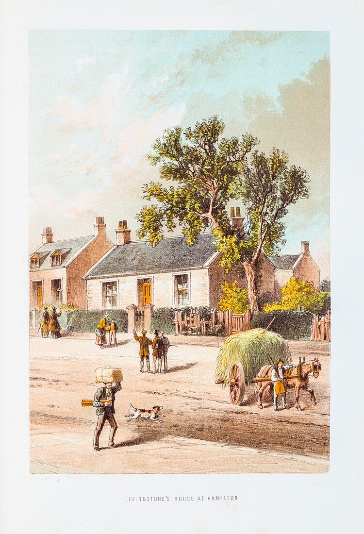 Livingstone's house at Hamilton,1862