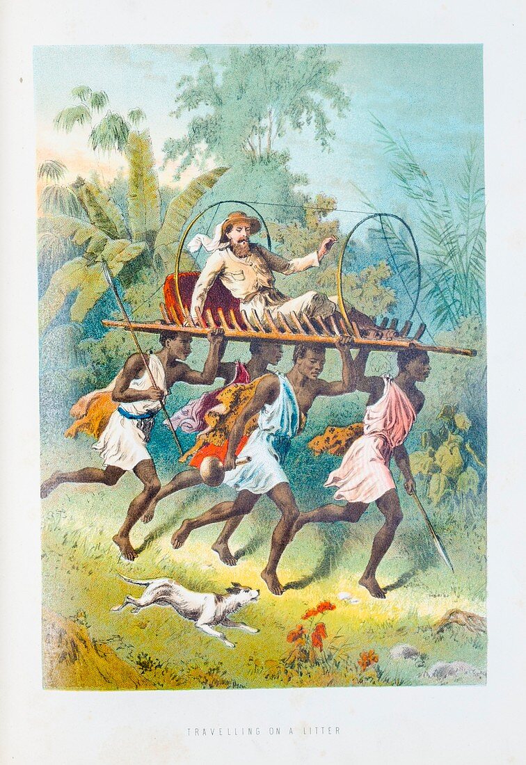 African travel on a litter,19th century