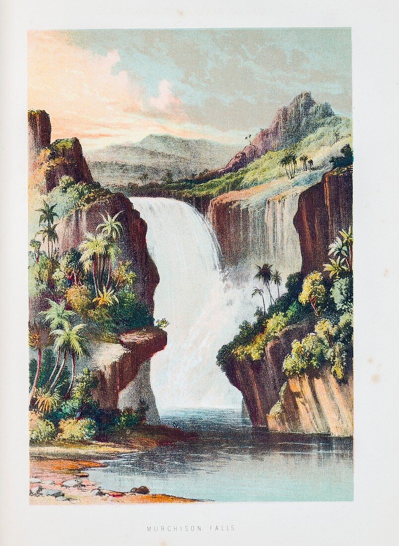 Murchison Falls on the Shire River,1859