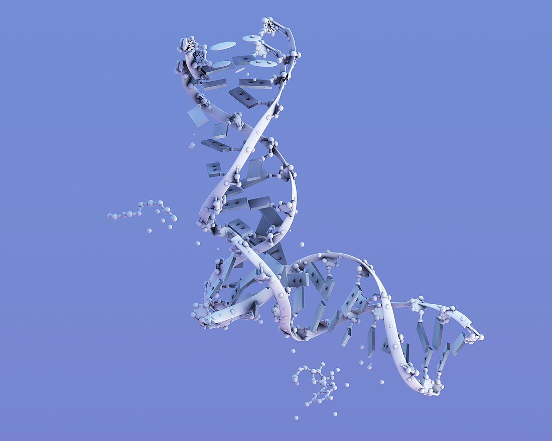 DNA molecular structure,illustration
