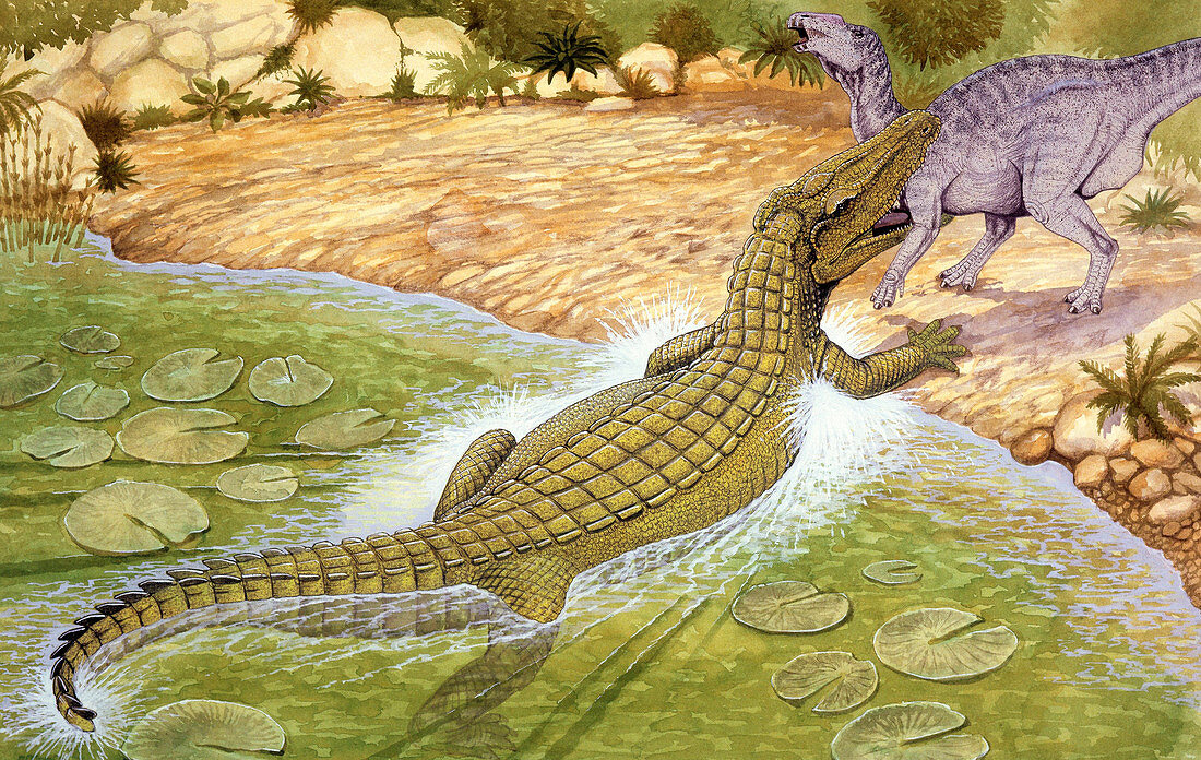 Illustration of Deinosuchus