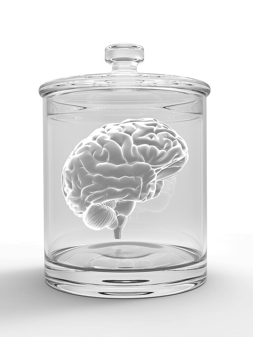 Human brain in a glass jar,artwork