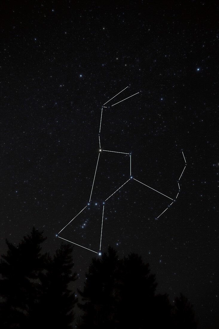 Orion Constellation