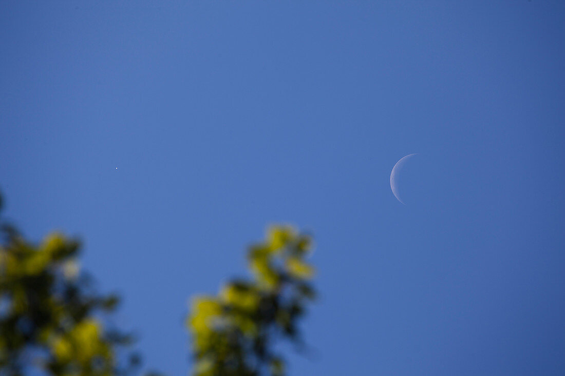 Crescent Moon and Venus in Daytime Sky