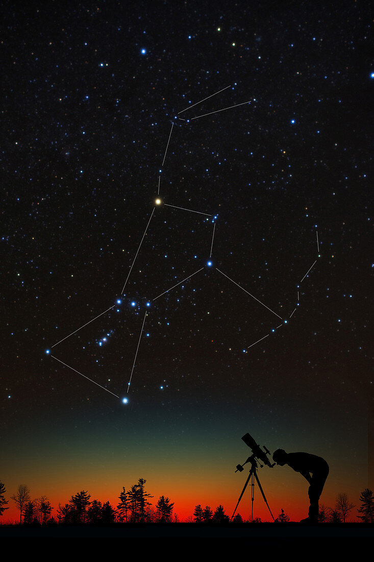Orion and Silhouetted Stargazer