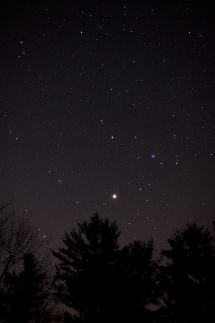 The Constellation Leo and Mars