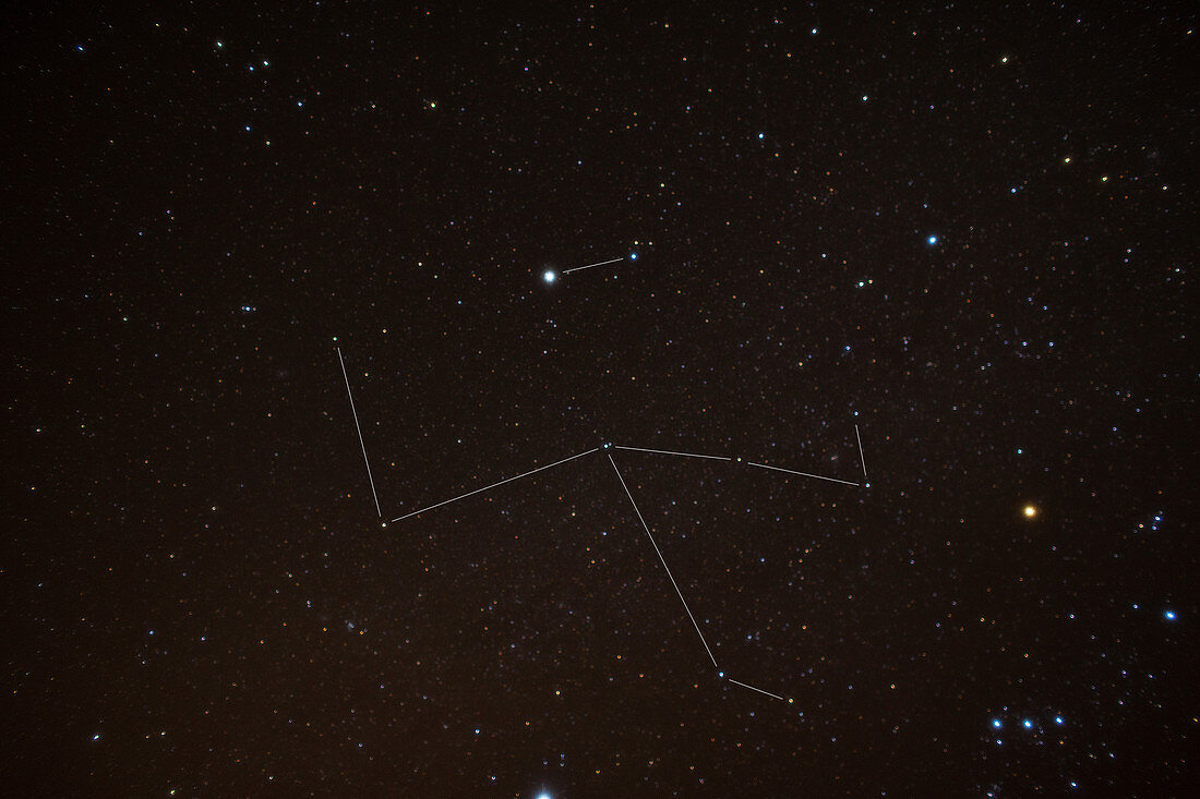 Monoceros and Canis Minor Constellations