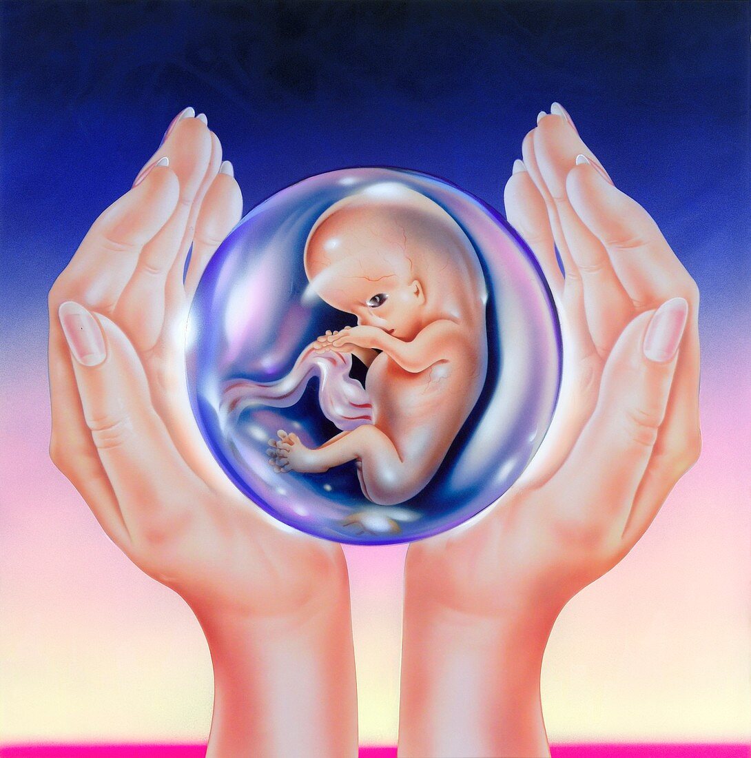 Care in pregnancy,conceptual image